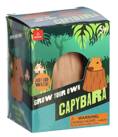2" Grow Your Own Capybara