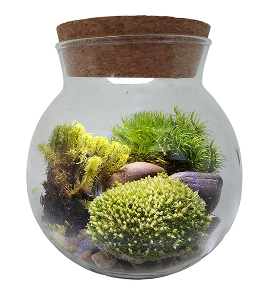 MossBowl