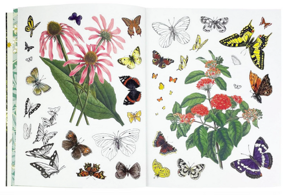 Sticker Emporium Woodlandia