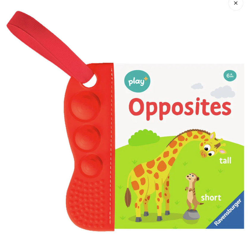 Opposites Flip & Pop Book