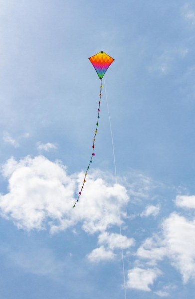 EDDY RAINBOW PATCHWORK  20"