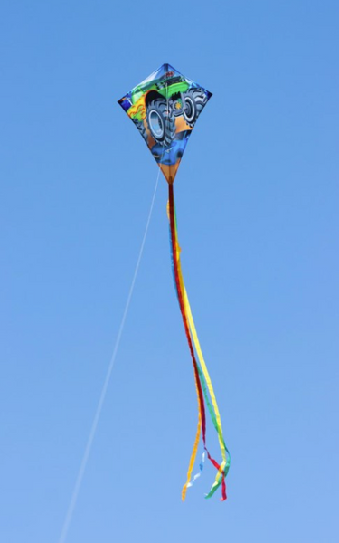 EDDY MONSTER TRUCK 28"