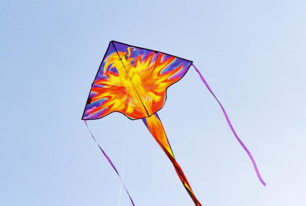 SIMPLE FLYER PHOENIX 47"