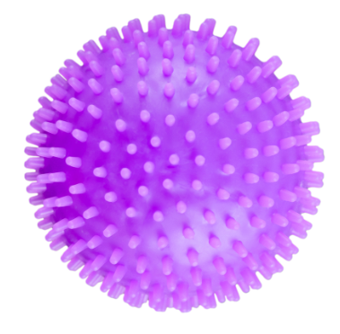 Squishi Spikey Ballz