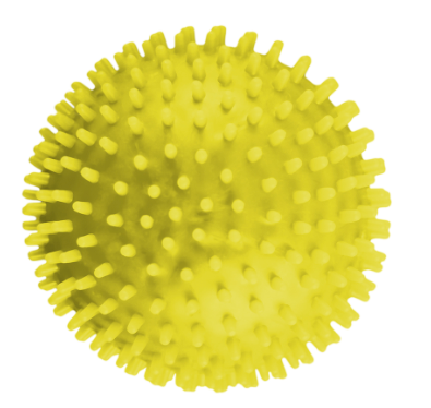 Squishi Spikey Ballz