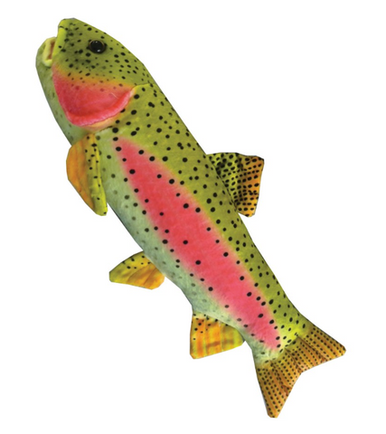 River Rainbow Trout