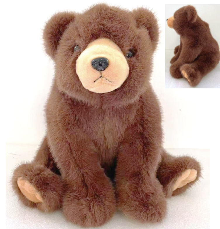 Glacier Grizzly Bear