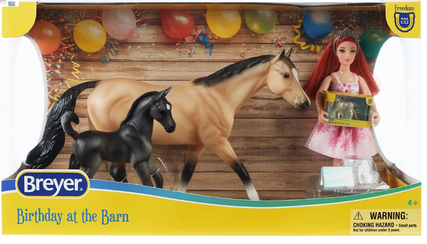 Birthday at the Barn