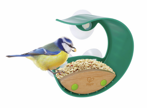Window Bird Feeder