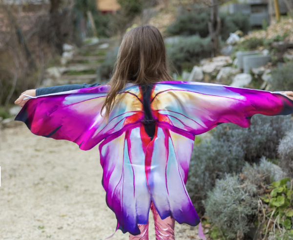 Ombre Butterfly Soft Wings 4/6