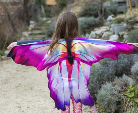 Ombre Butterfly Soft Wings 4/6