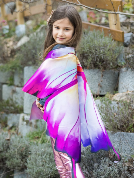 Ombre Butterfly Soft Wings 4/6