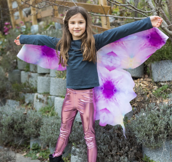 Ombre Butterfly Soft Wings 4/6