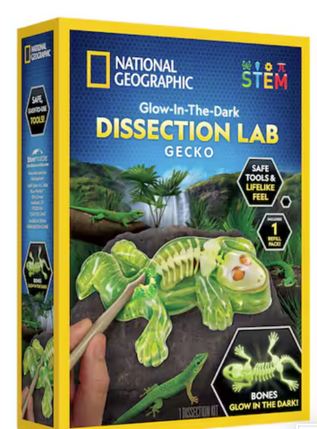 Nat' Geo Glow Gecko Dissect