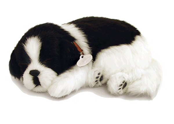 Border Collie Perfect Petzzz