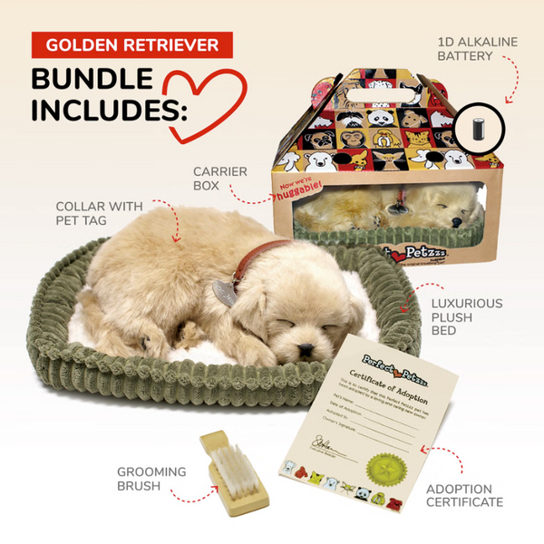 Golden Retriever Perfect Petzzz