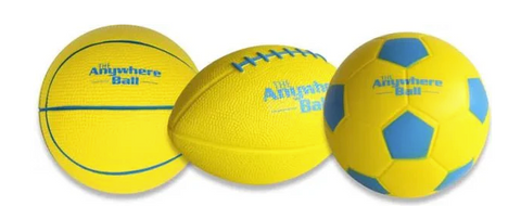Mini Sports Ball Assortment