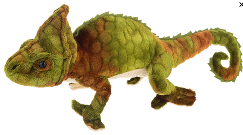 16" Veiled Chameleon