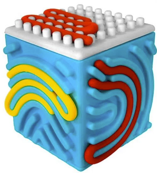 Silly Tube Cube Assorted