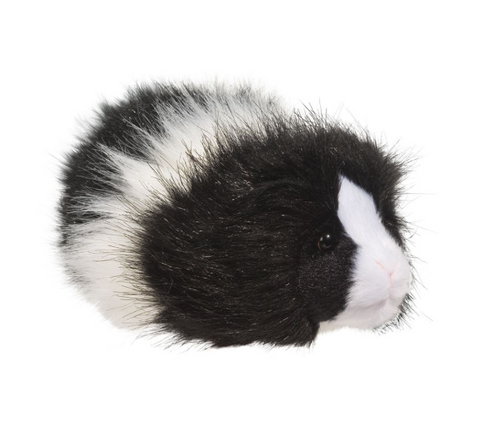 Angora Blk/Wht Guinea Pig