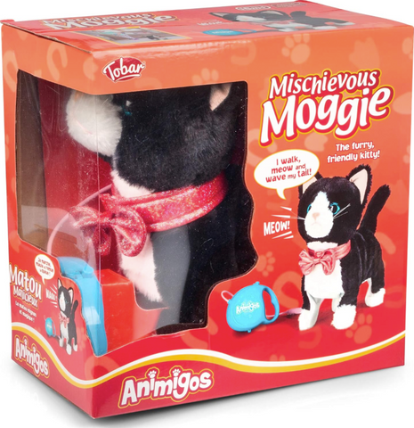 Mischievous Moggie Cat