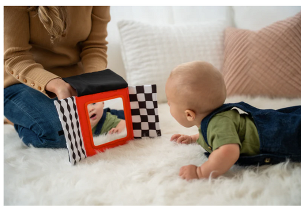 Wimmer Peek & Go Mirror