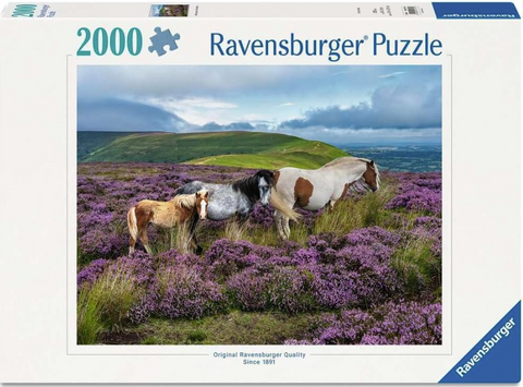 Wild Horses in The Heather 2000 P