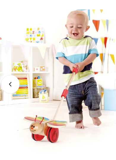 Butterfly Push Toy