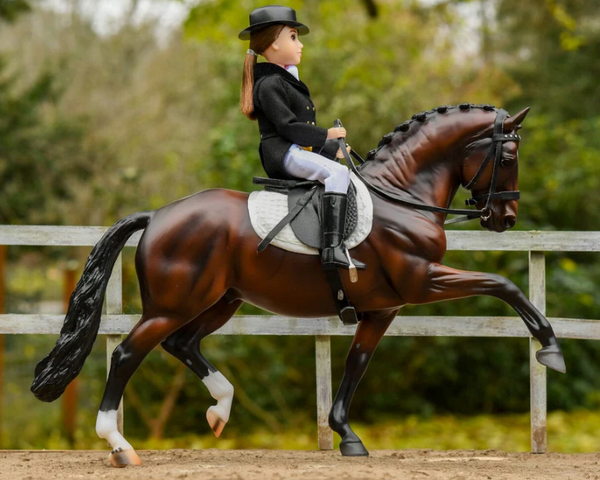 Megan Dressage Rider