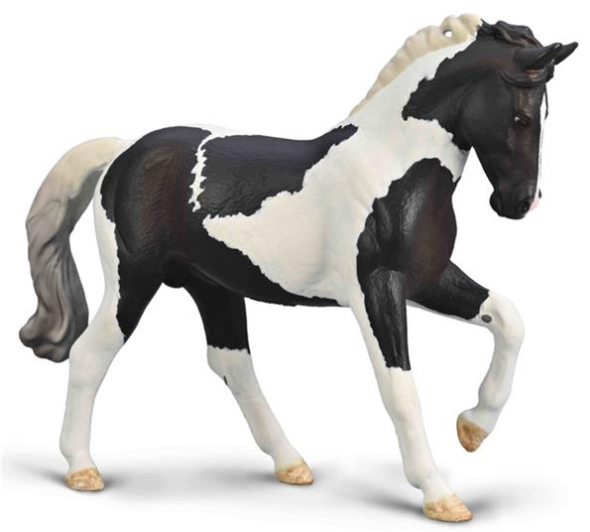 Black Tobiano Warmblood Stallion