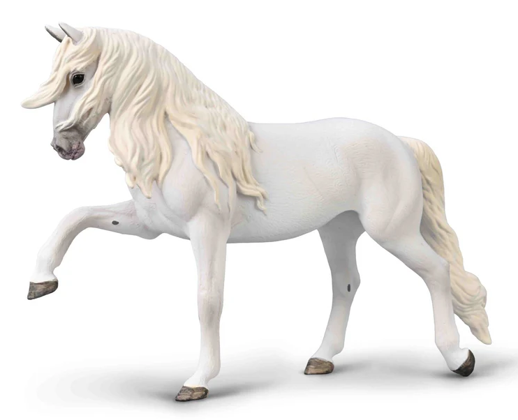 Lipizzaner Mare