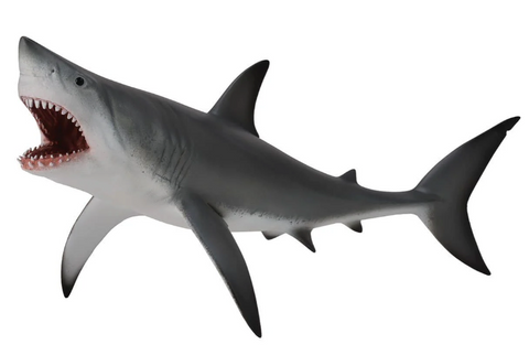 Great White Shark
