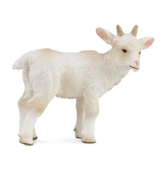 Goat Kid