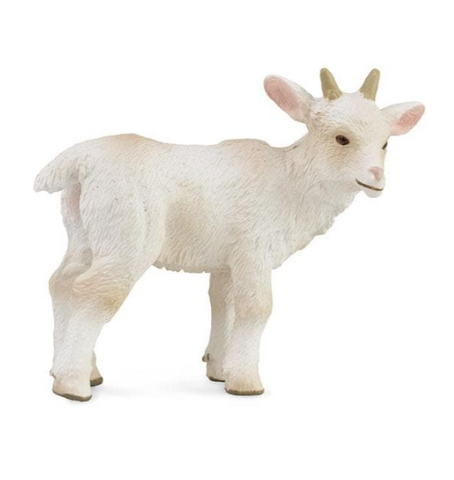 Goat Kid