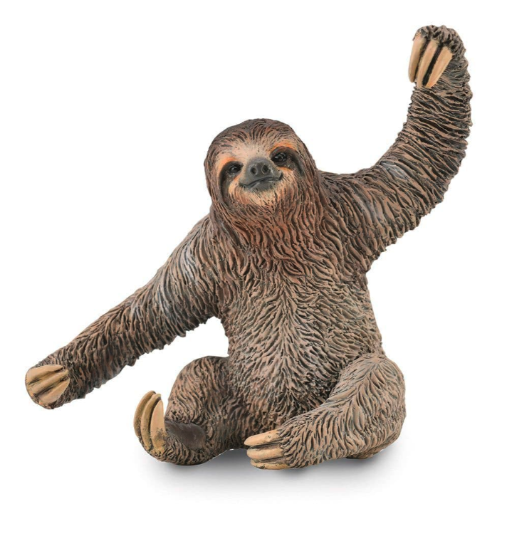 Sloth