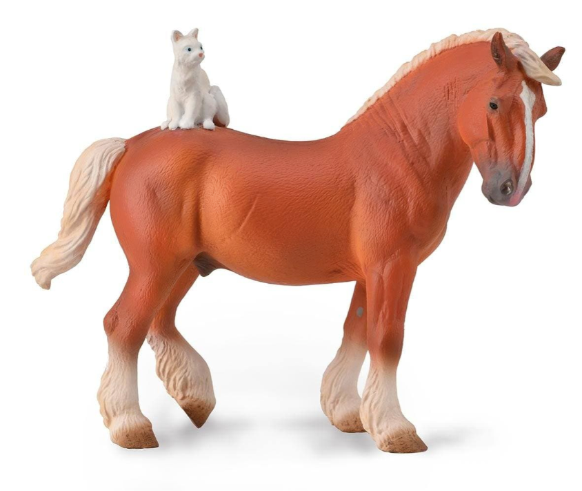 Draft Horse with Cat