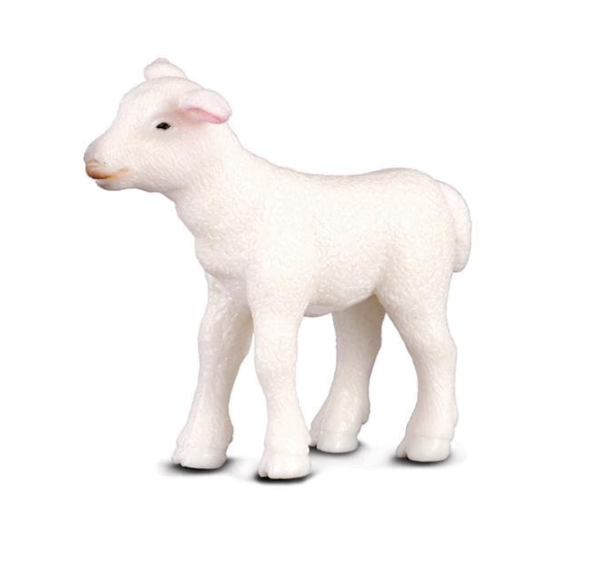 Lamb