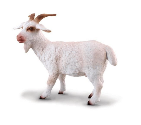 Billy Goat