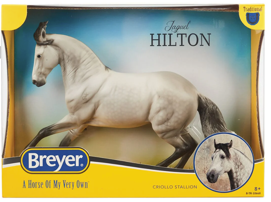 Jaguel Hilton | Criollo Stallion
