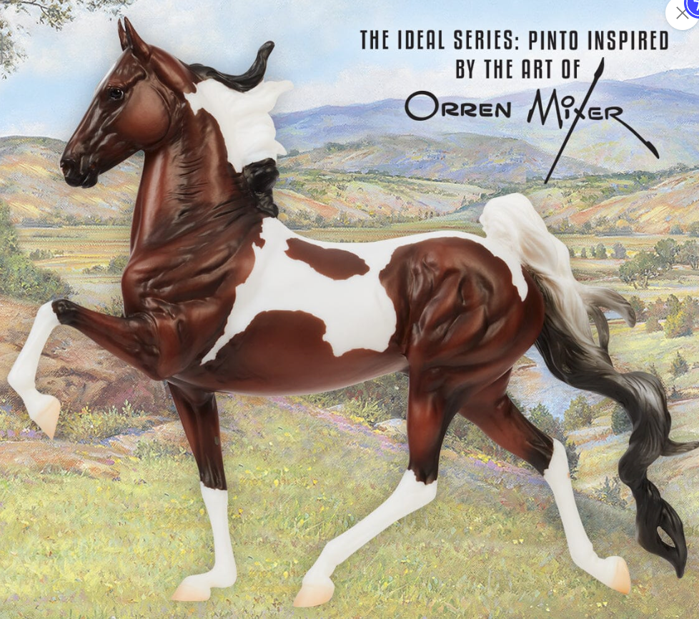 The Ideal Series | Pinto