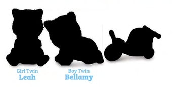 Persian Cat Twins CC
