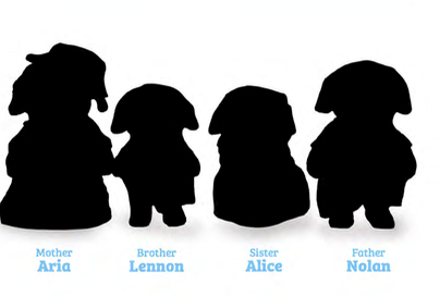 Flora Rabbit Family CC