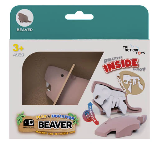 Forest - Beaver