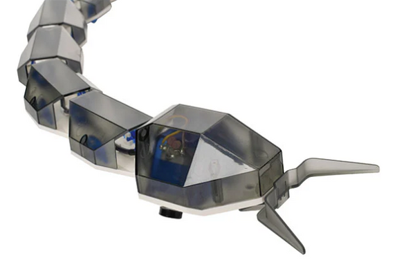 Robot Snake RC