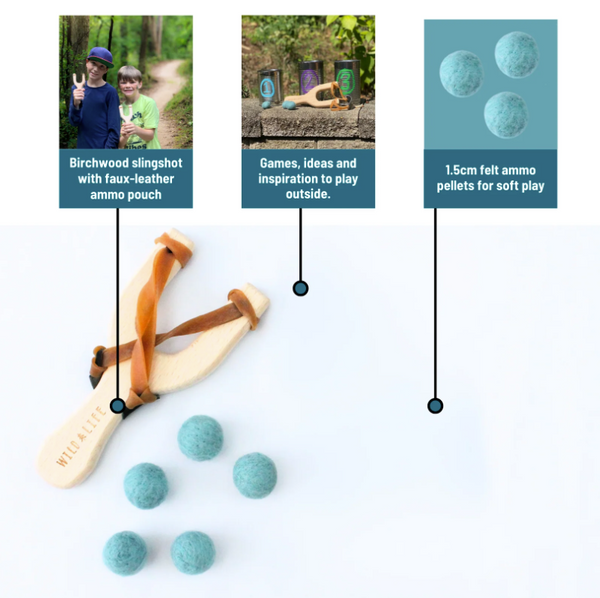 Take Aim - Slingshot + Spinning Target