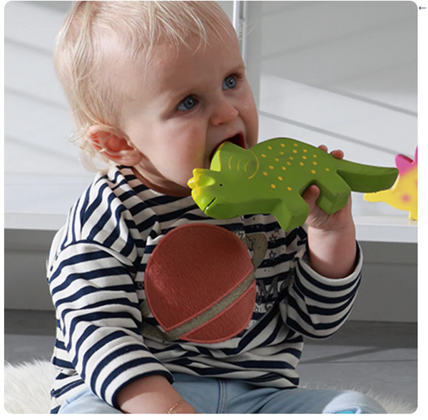Baby Triceratops Organic Toy