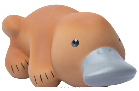 Platypus Teether, Rattle & Bath Toy
