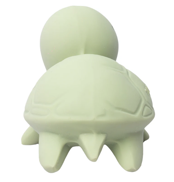 Turtle Teether, Rattle & Bath Toy