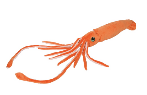 Stretch Squid