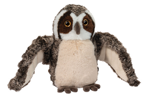 Echo Owl